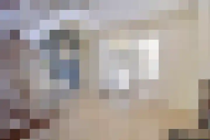 Tegenbosch 19 Eindhoven thumbnail 7
