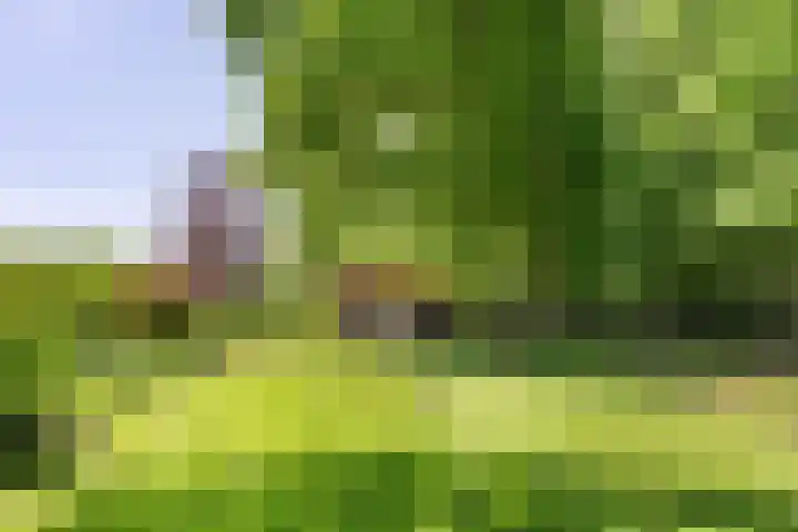 Tegenbosch 19 Eindhoven thumbnail 70
