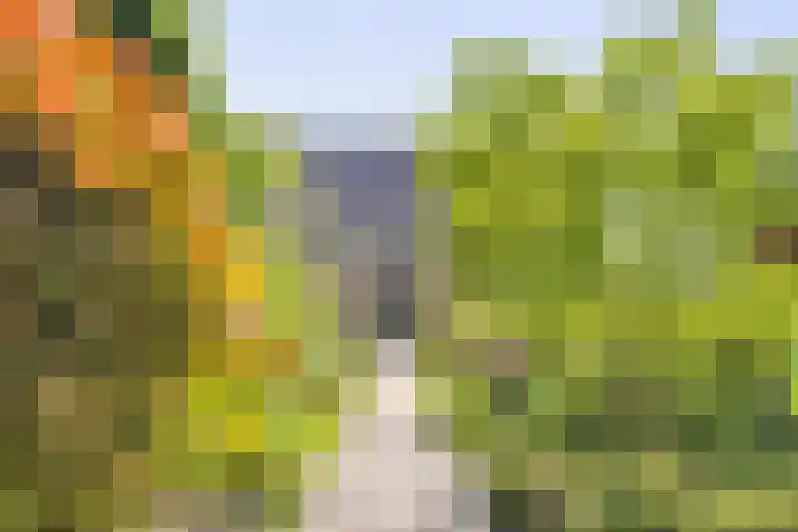Tegenbosch 19 Eindhoven thumbnail 71