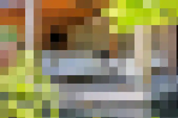 Tegenbosch 19 Eindhoven thumbnail 72