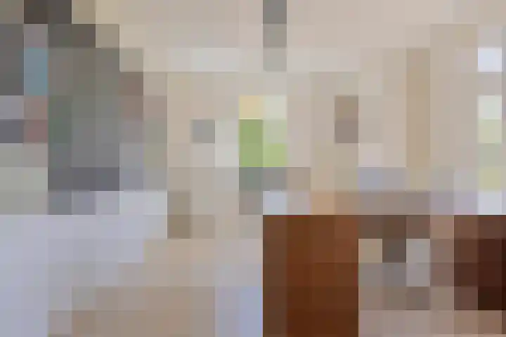 Tegenbosch 19 Eindhoven thumbnail 8