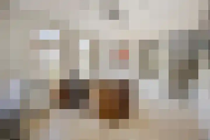 Tegenbosch 19 Eindhoven thumbnail 9