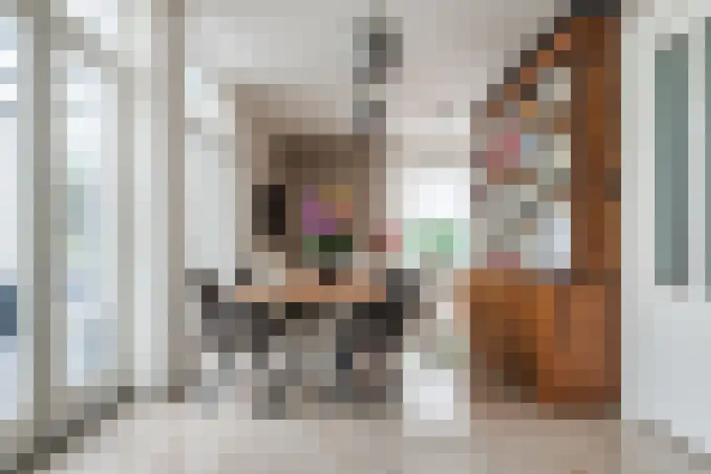 Tegenbosch 27 Eindhoven thumbnail 12