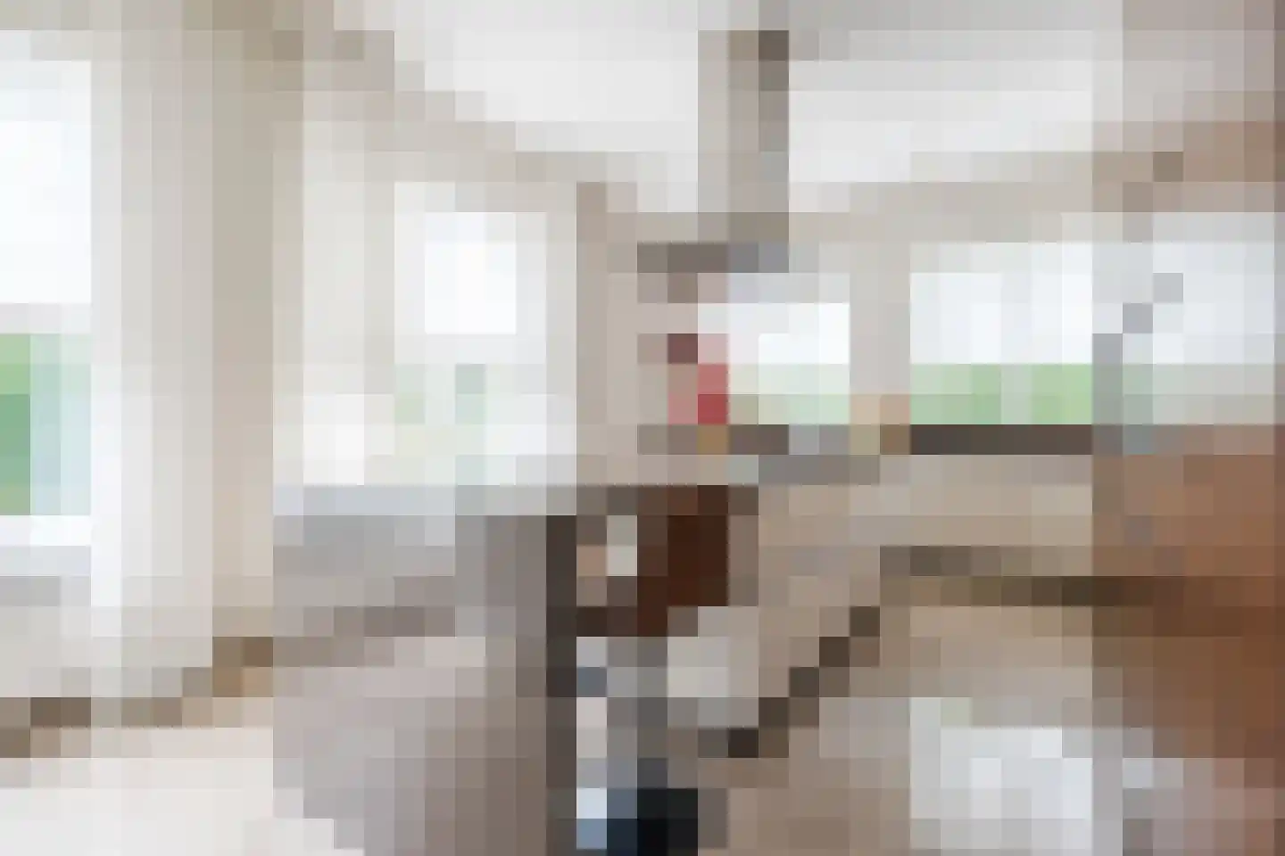 Tegenbosch 27 Eindhoven thumbnail 13