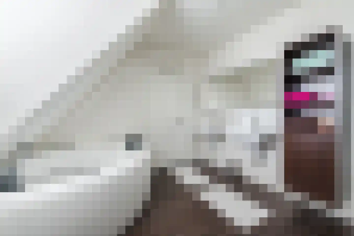Tegenbosch 27 Eindhoven thumbnail 26