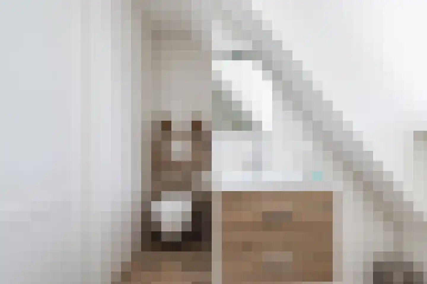 Tegenbosch 27 Eindhoven thumbnail 29