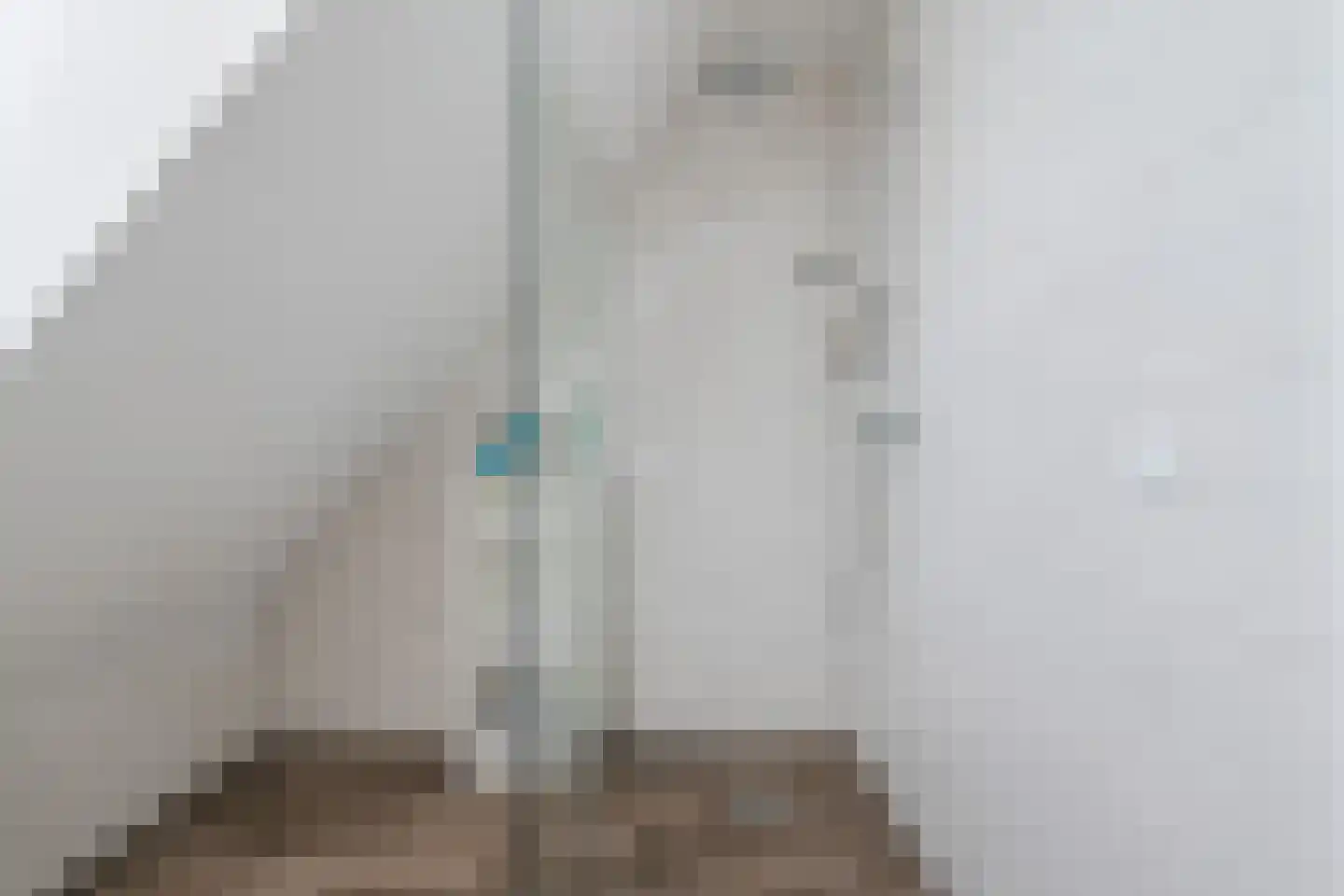 Tegenbosch 27 Eindhoven thumbnail 30
