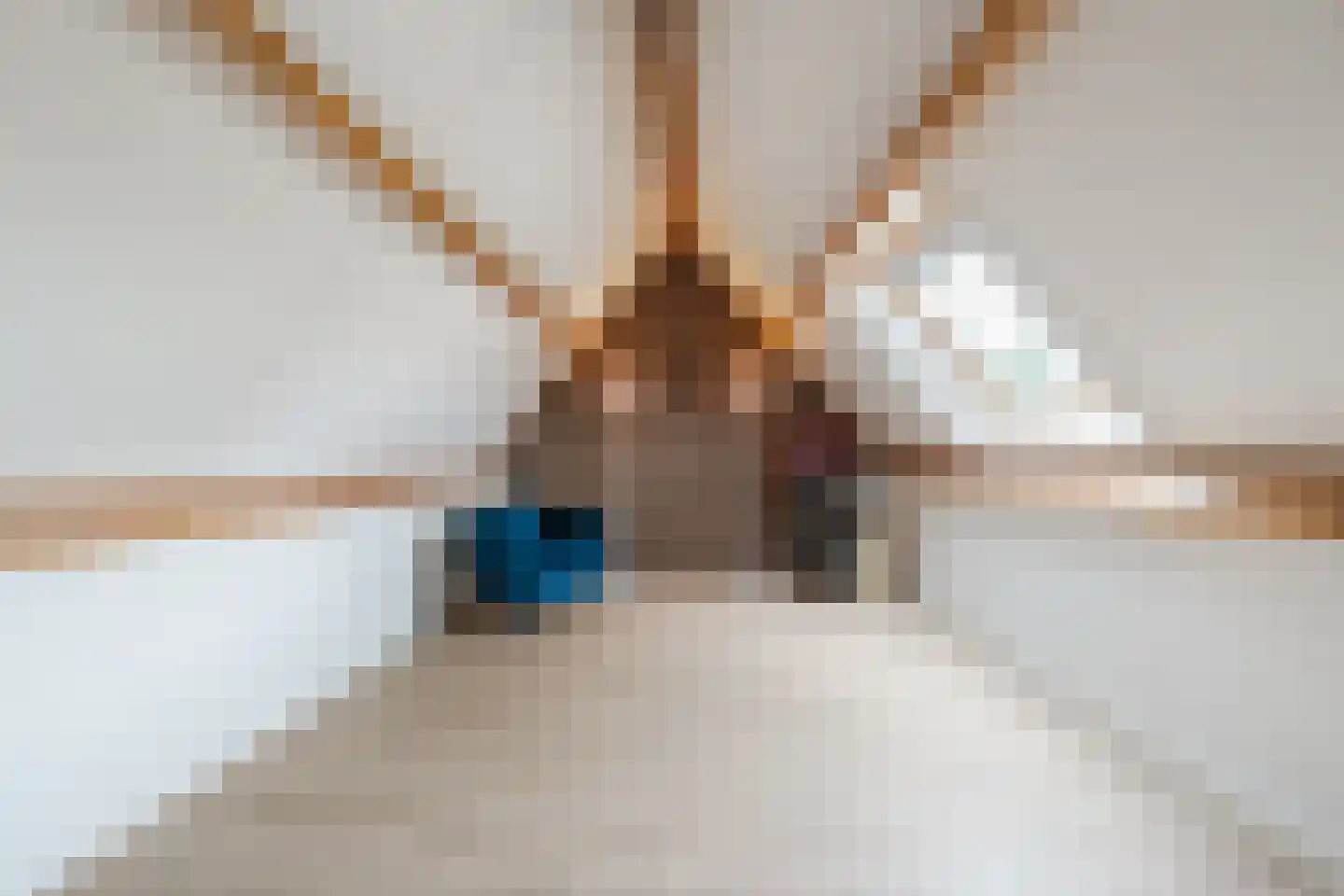 Tegenbosch 27 Eindhoven thumbnail 32