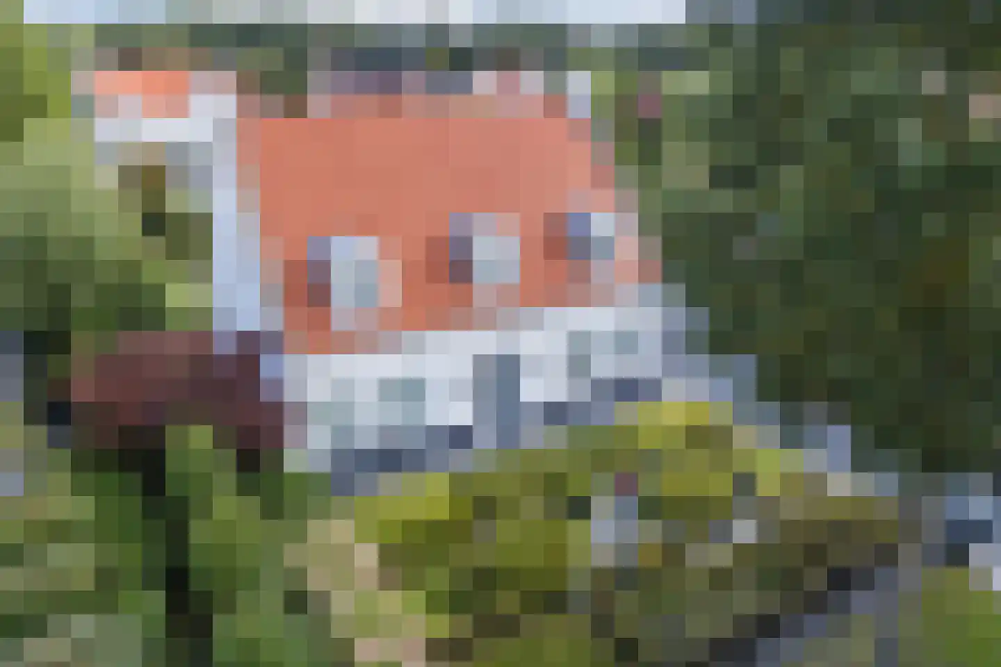 Tegenbosch 27 Eindhoven thumbnail 45
