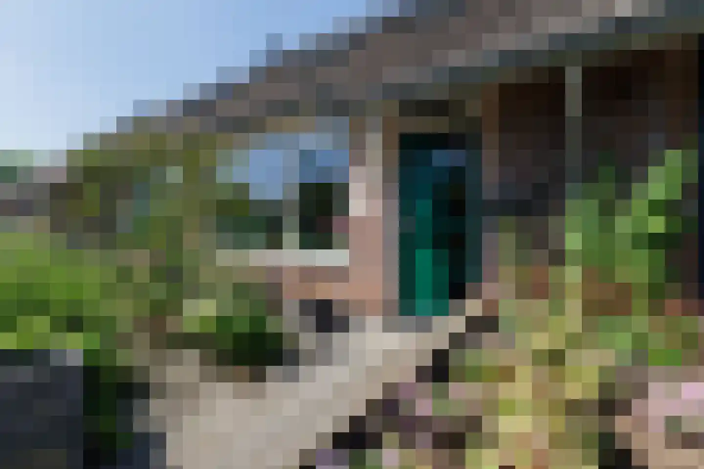 Tegenhouder 16 in Sappemeer