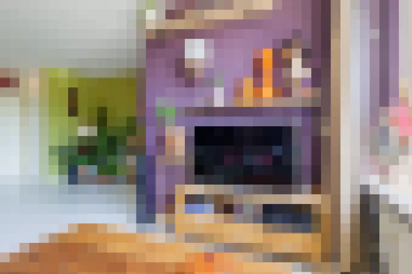 Tegenhouder 16 Sappemeer thumbnail 16