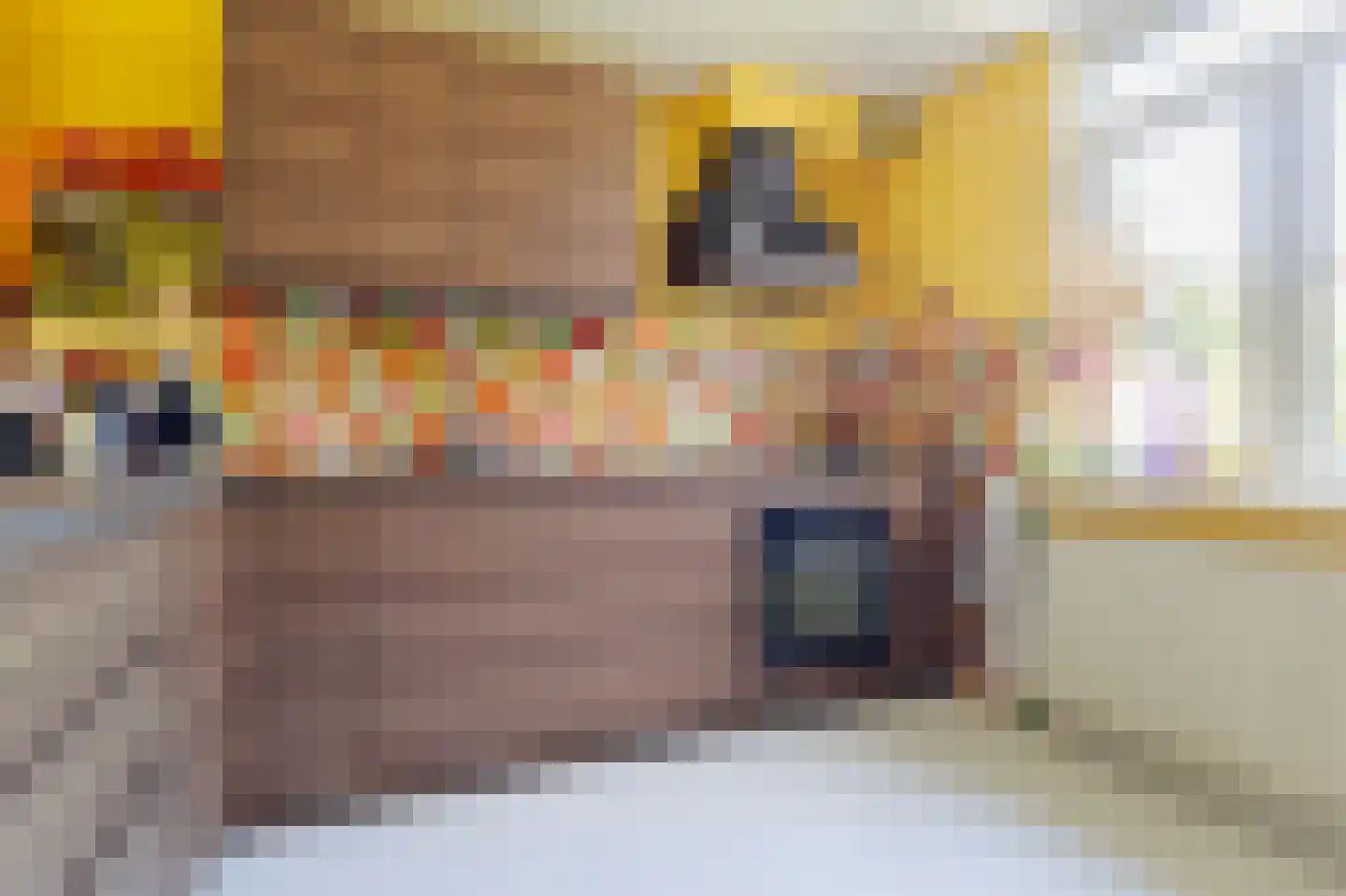 Tegenhouder 16 Sappemeer thumbnail 19