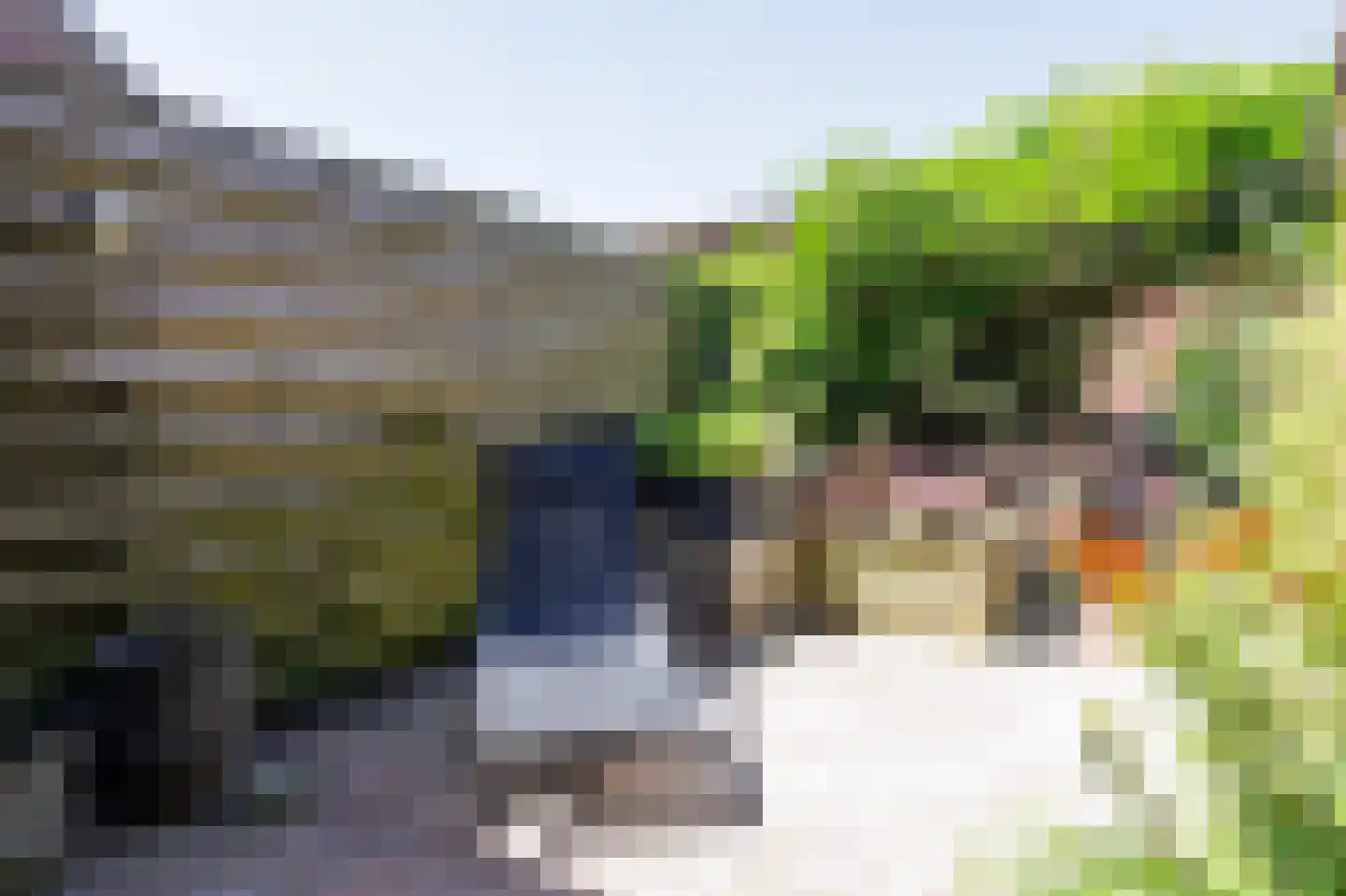 Tegenhouder 16 Sappemeer thumbnail 29