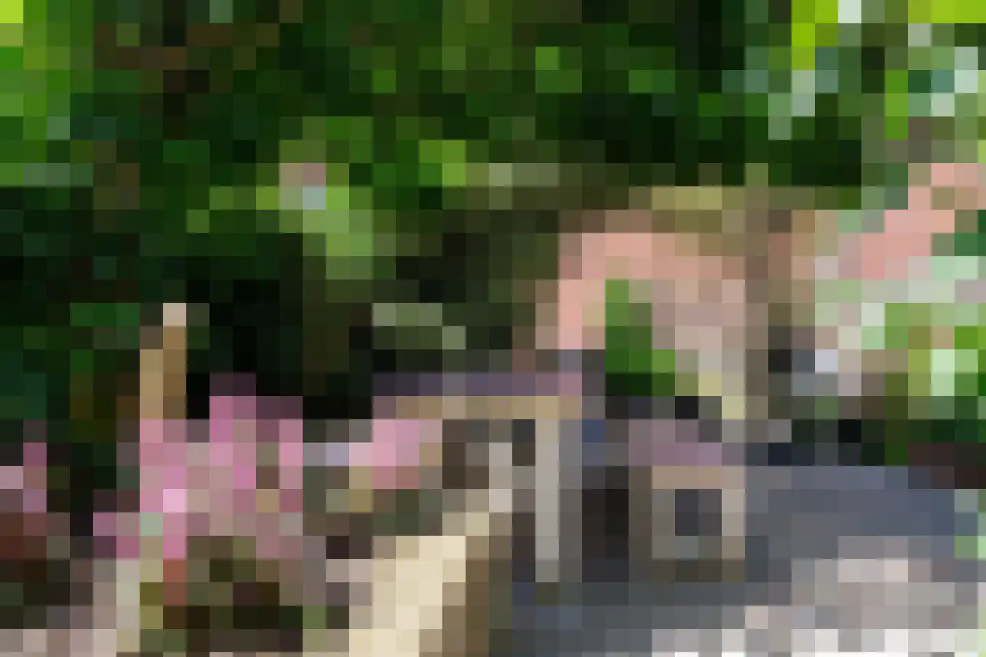 Tegenhouder 16 Sappemeer thumbnail 30