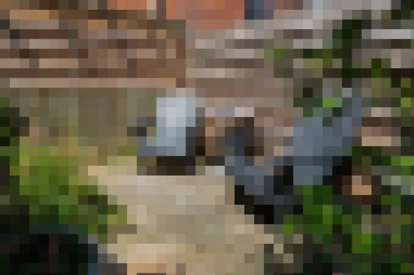 Tegenhouder 16 Sappemeer thumbnail 31