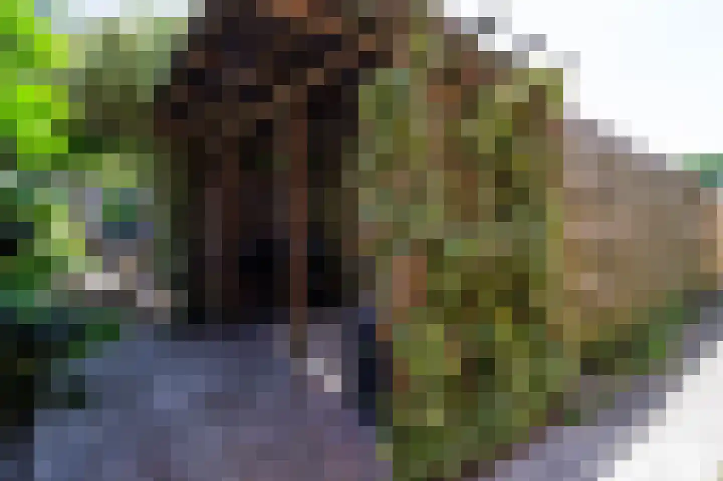Tegenhouder 16 Sappemeer thumbnail 32