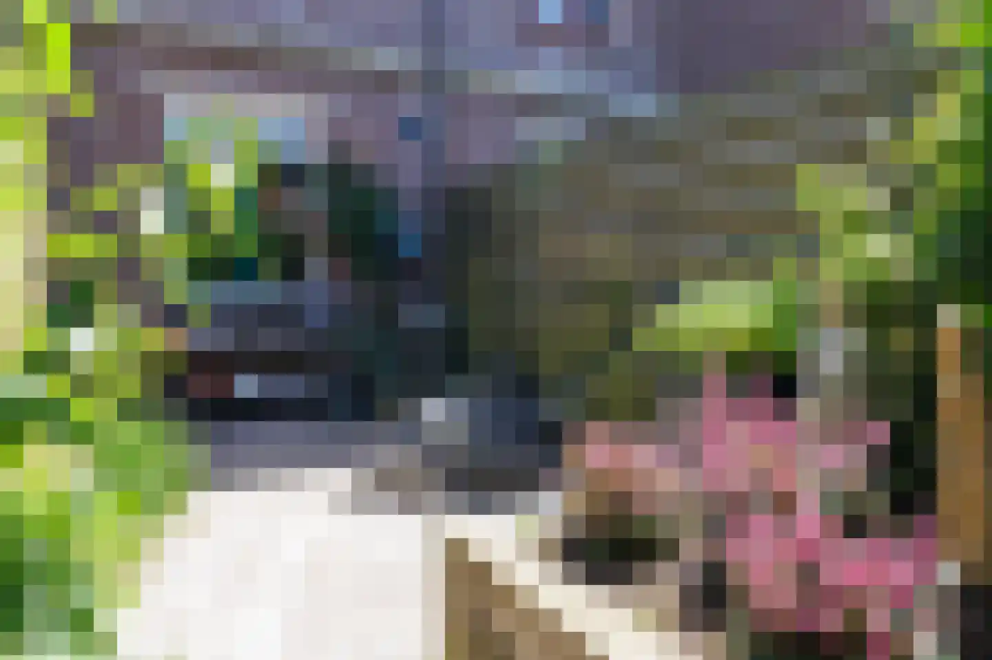 Tegenhouder 16 Sappemeer thumbnail 34