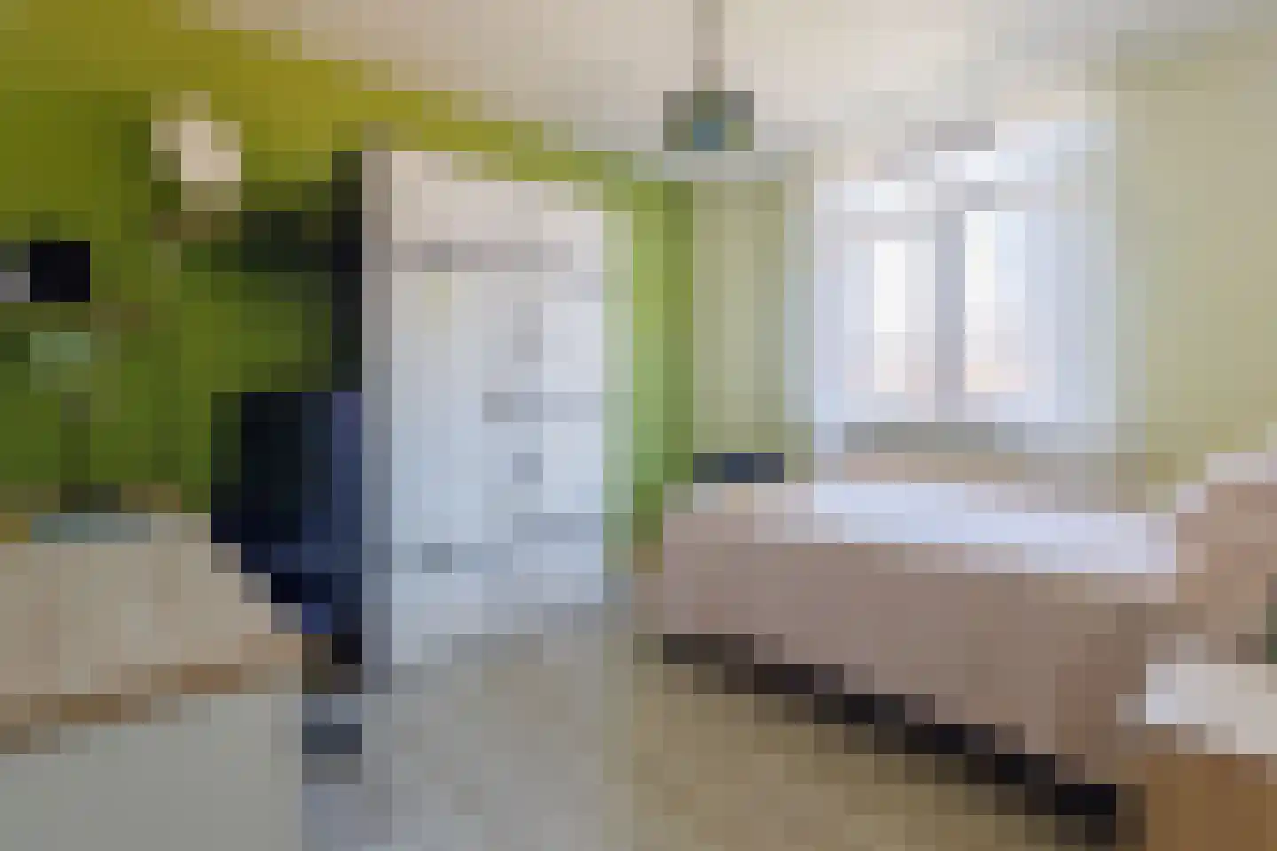 Tegenhouder 16 Sappemeer thumbnail 36