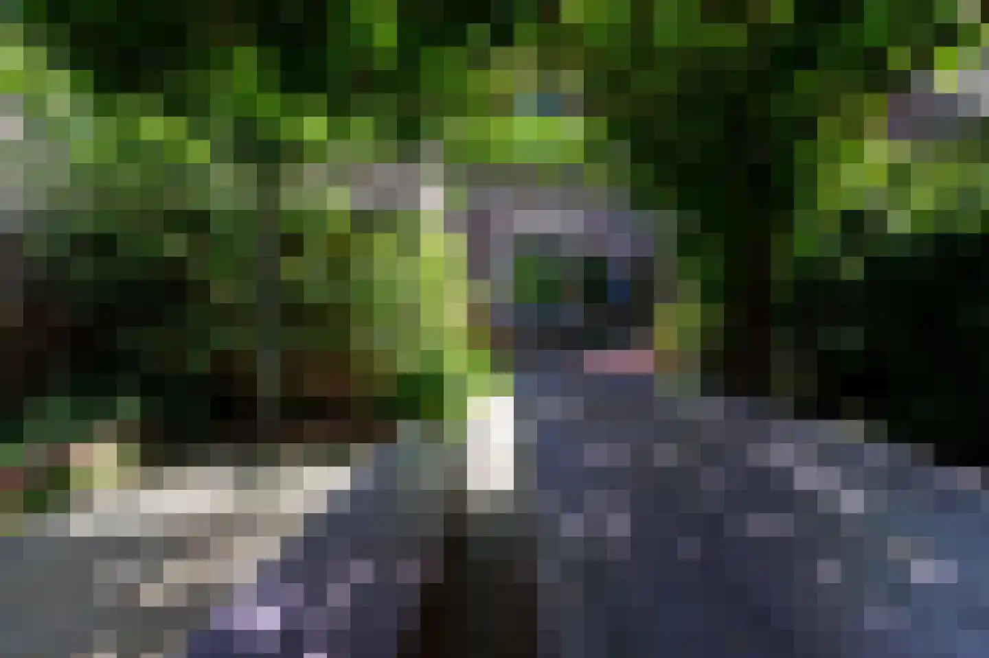 Tegenhouder 16 Sappemeer thumbnail 4