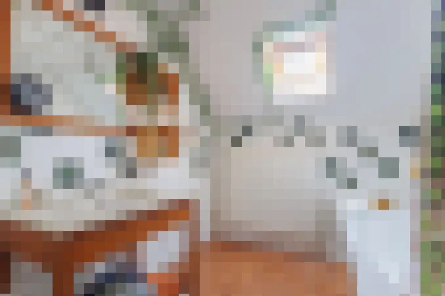Tegenhouder 16 Sappemeer thumbnail 42
