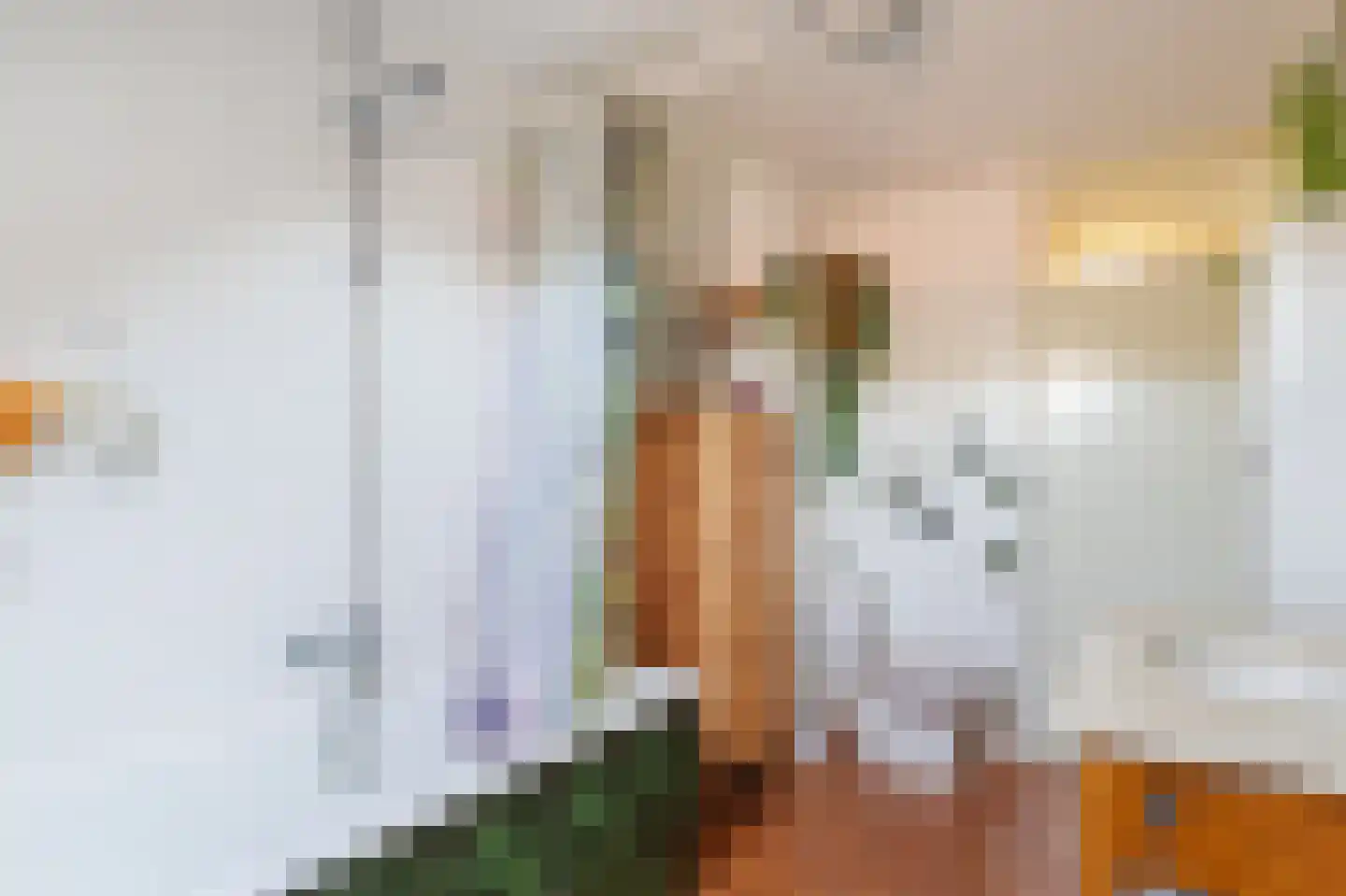 Tegenhouder 16 Sappemeer thumbnail 44