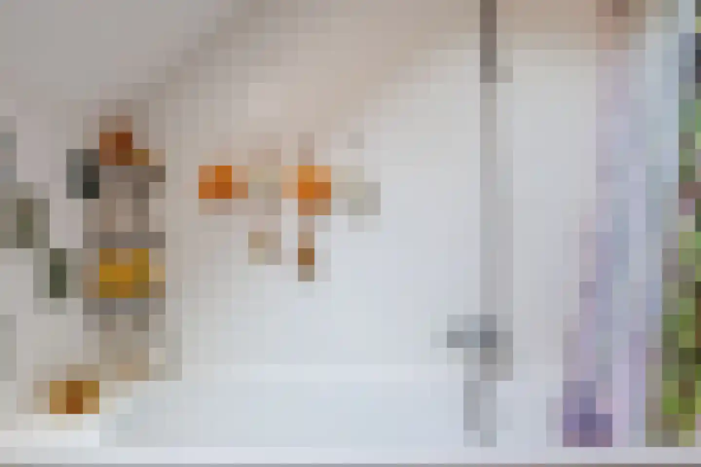 Tegenhouder 16 Sappemeer thumbnail 45