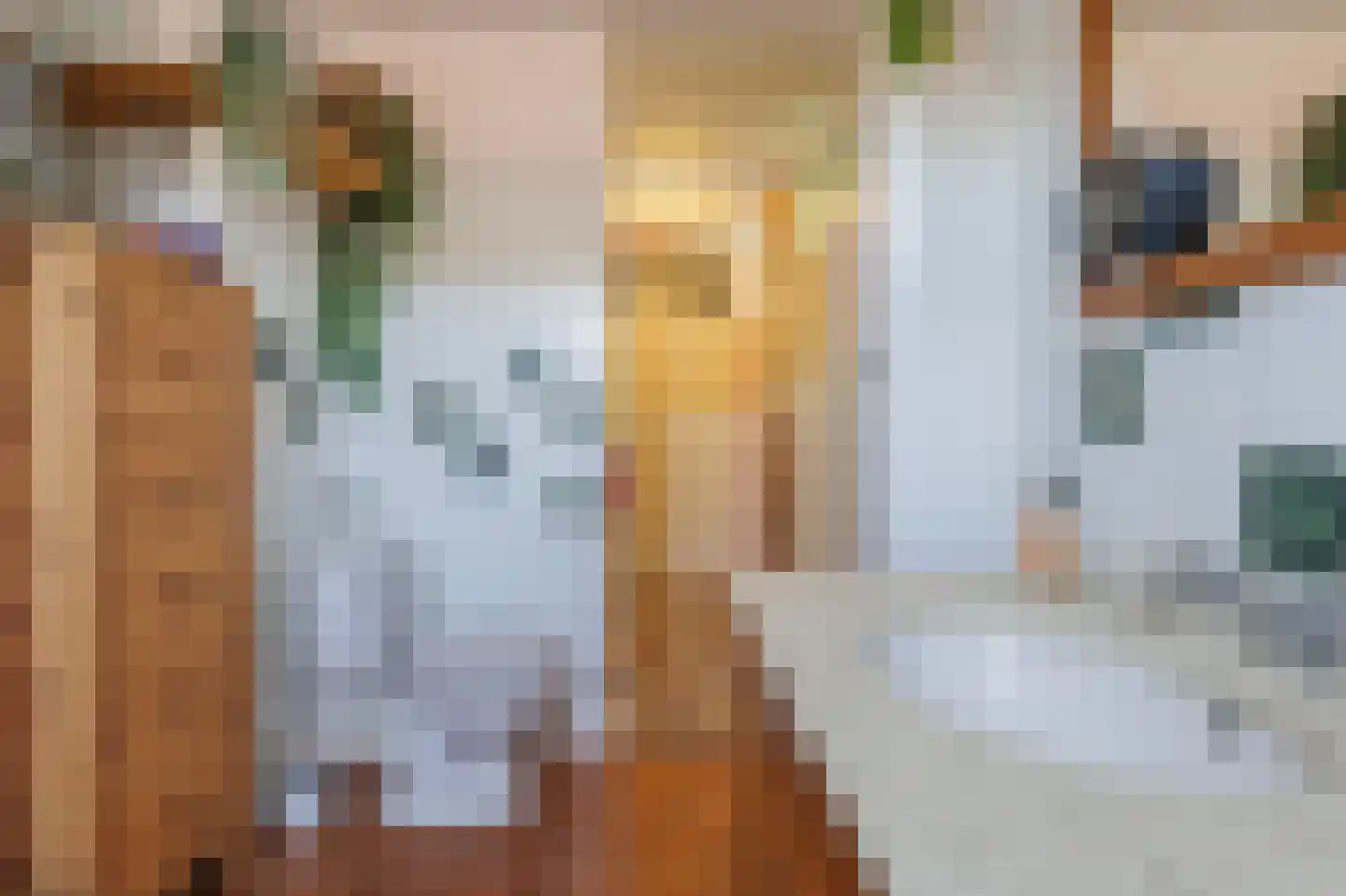 Tegenhouder 16 Sappemeer thumbnail 46