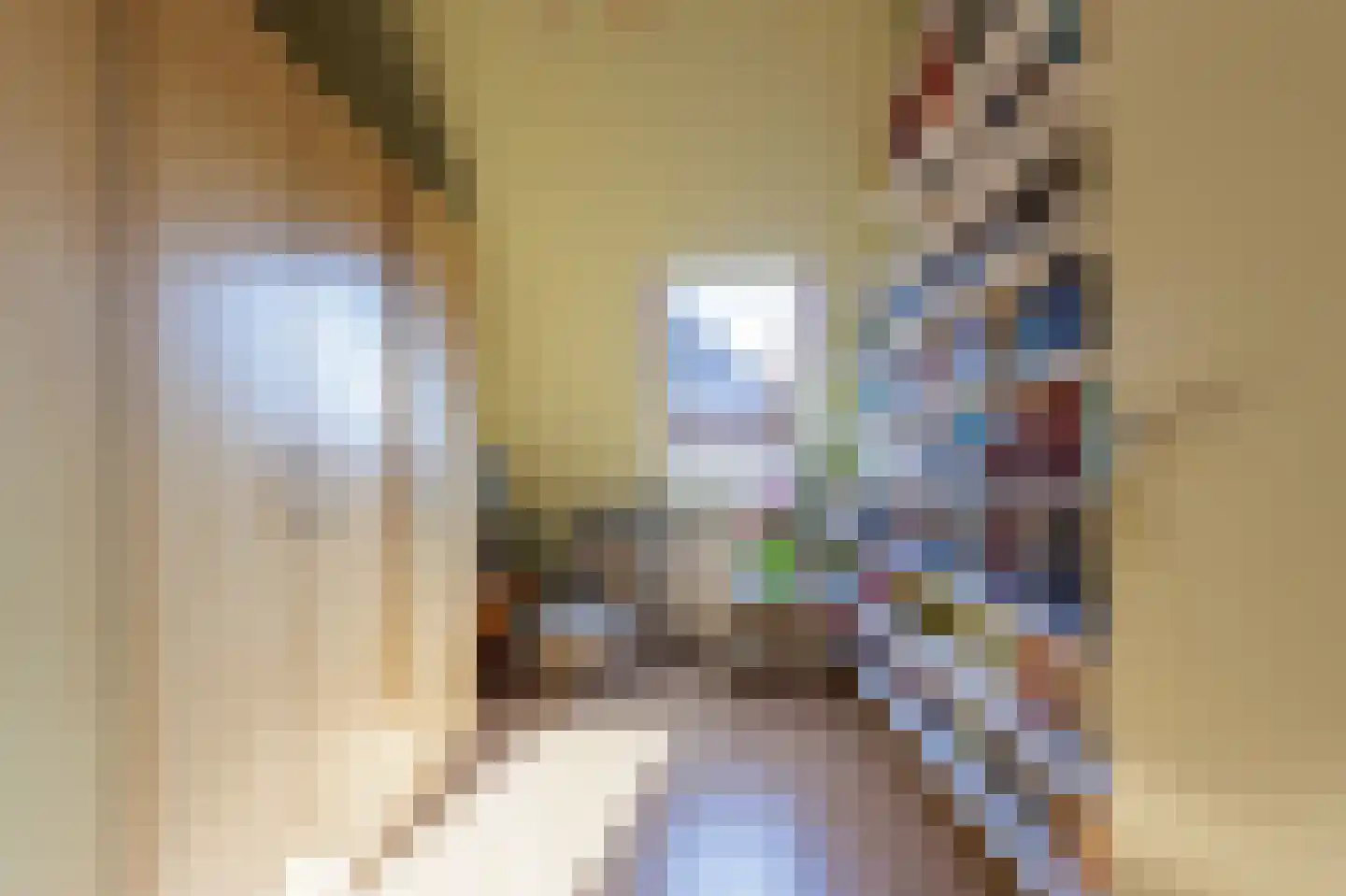 Tegenhouder 16 Sappemeer thumbnail 47