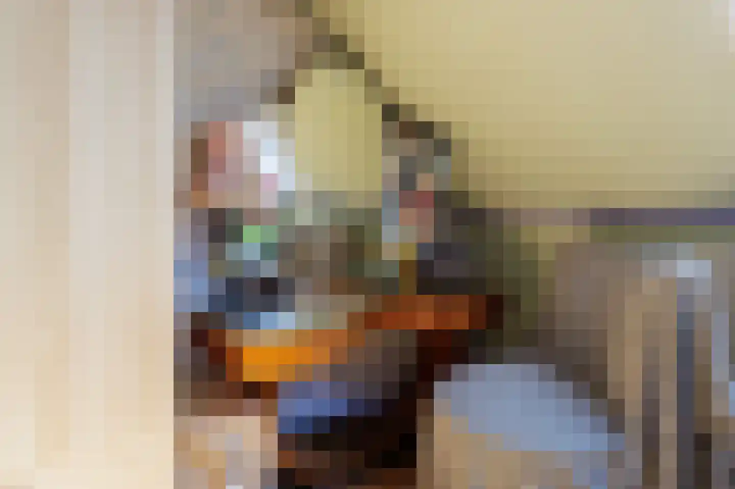Tegenhouder 16 Sappemeer thumbnail 48