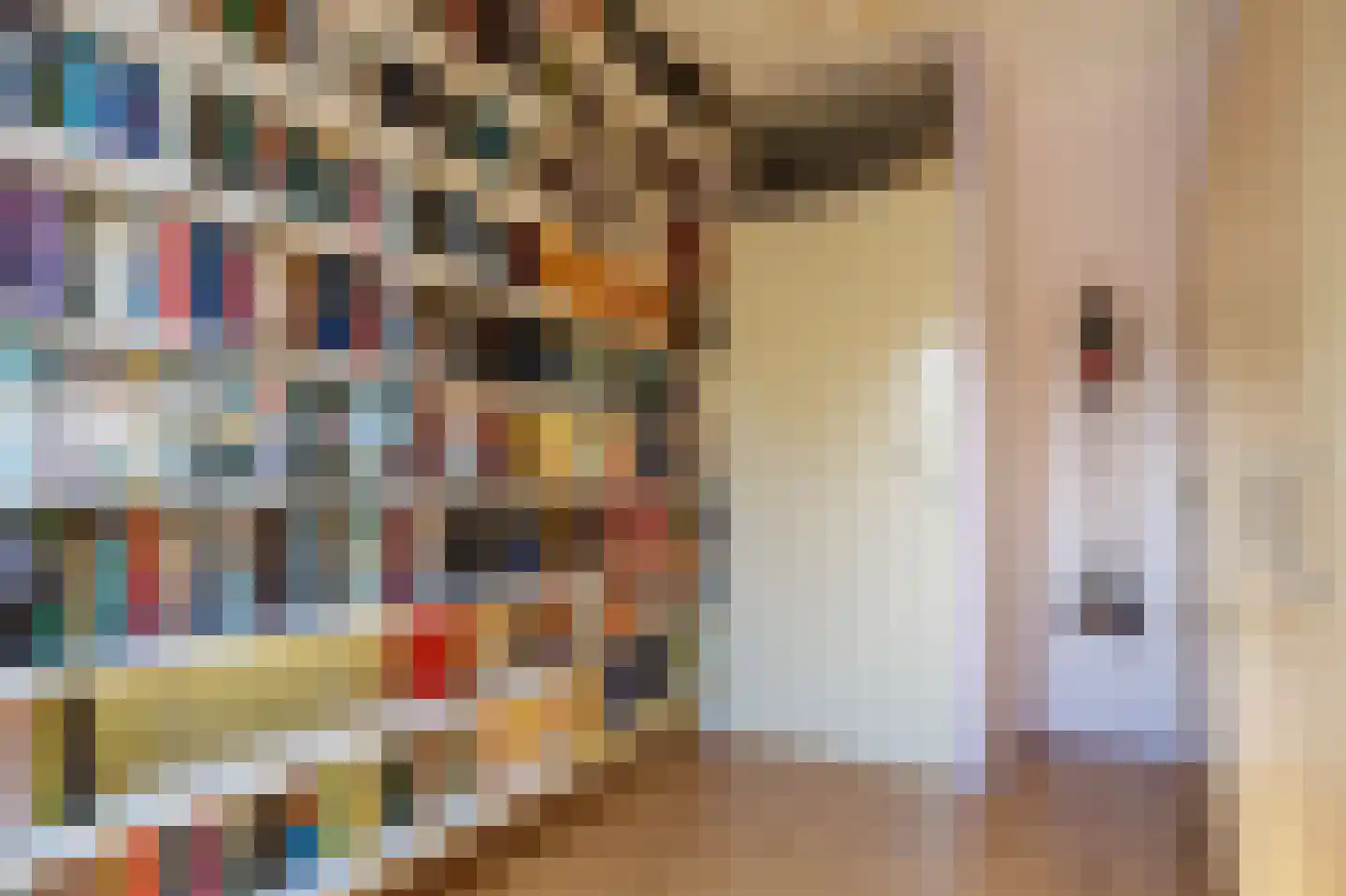 Tegenhouder 16 Sappemeer thumbnail 49