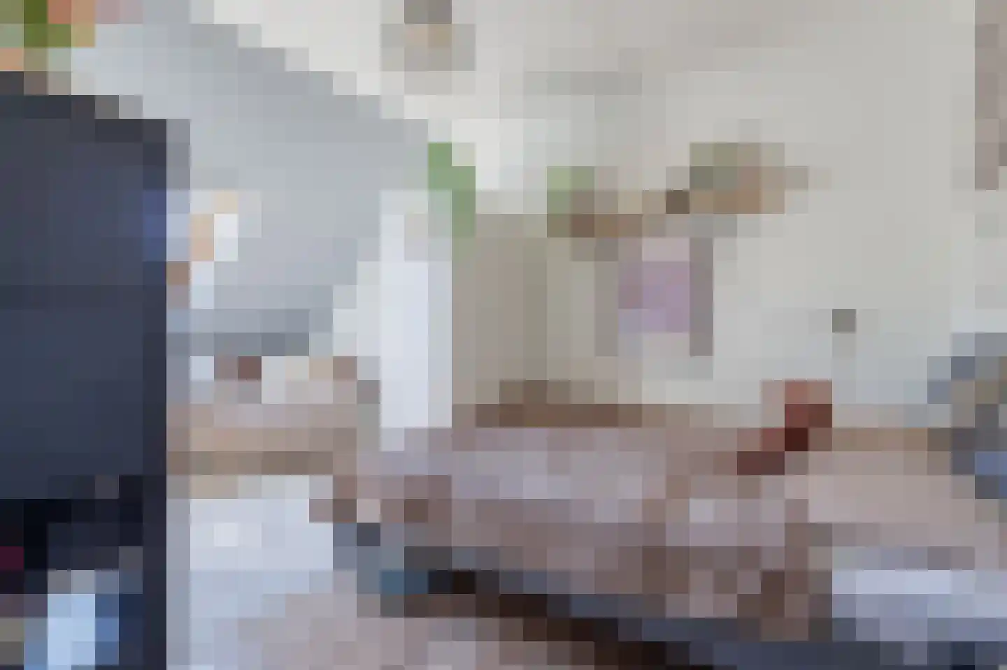 Tegenhouder 16 Sappemeer thumbnail 50