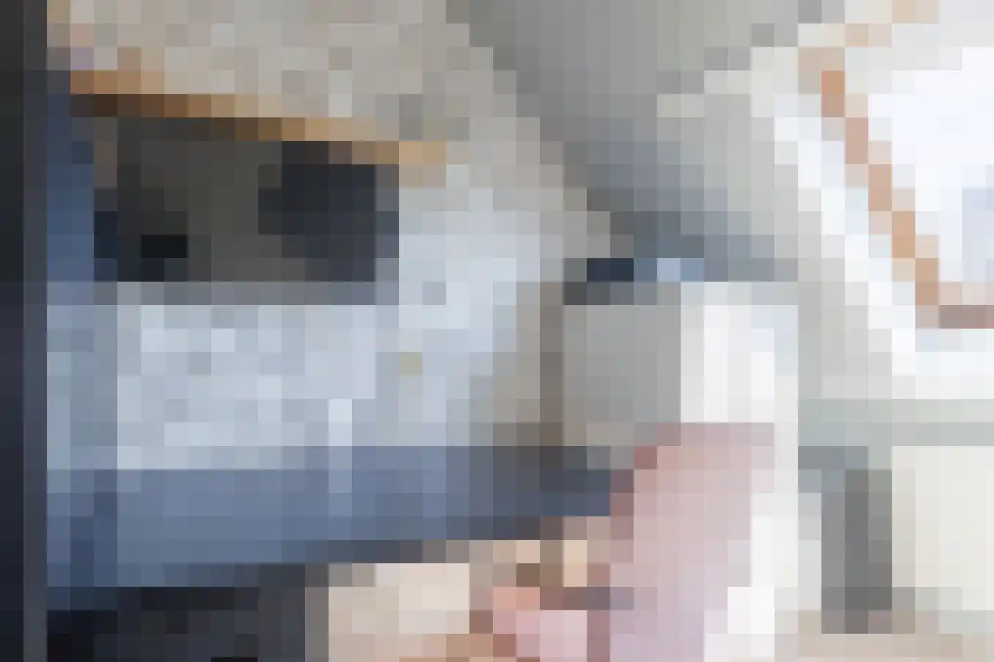 Tegenhouder 16 Sappemeer thumbnail 51