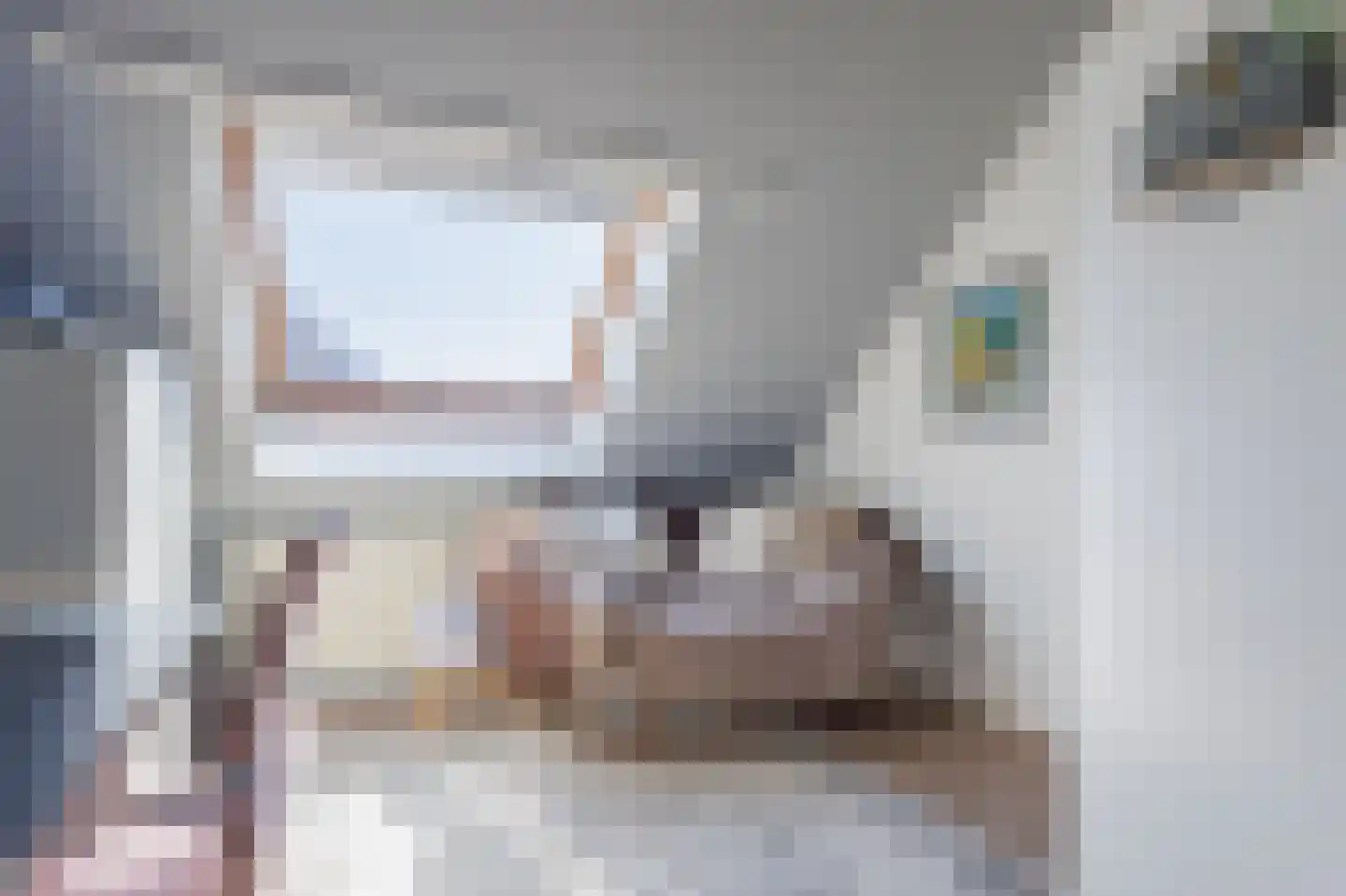 Tegenhouder 16 Sappemeer thumbnail 52