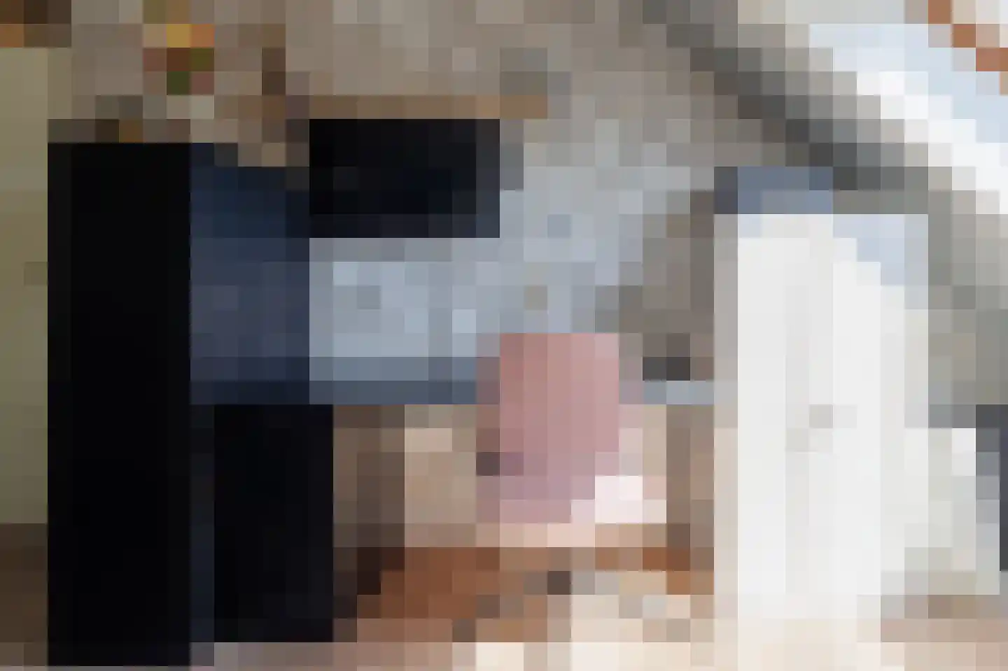 Tegenhouder 16 Sappemeer thumbnail 53