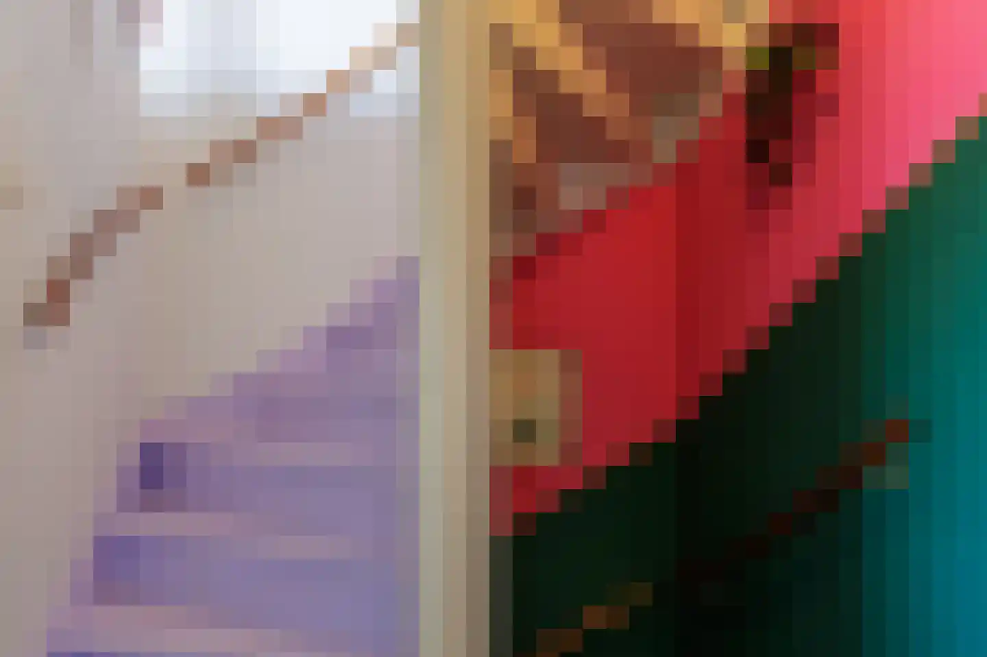 Tegenhouder 16 Sappemeer thumbnail 57