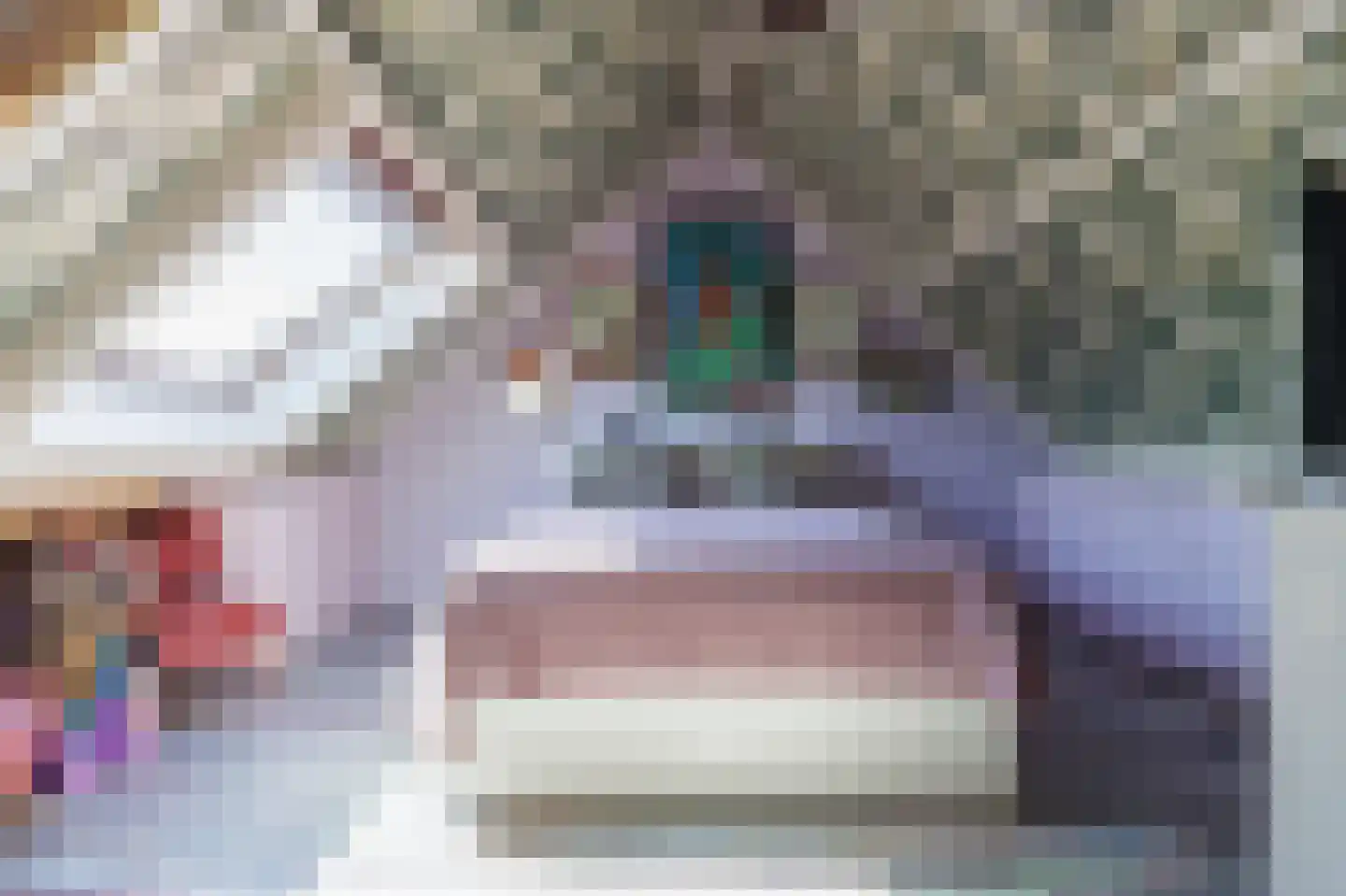 Tegenhouder 16 Sappemeer thumbnail 58