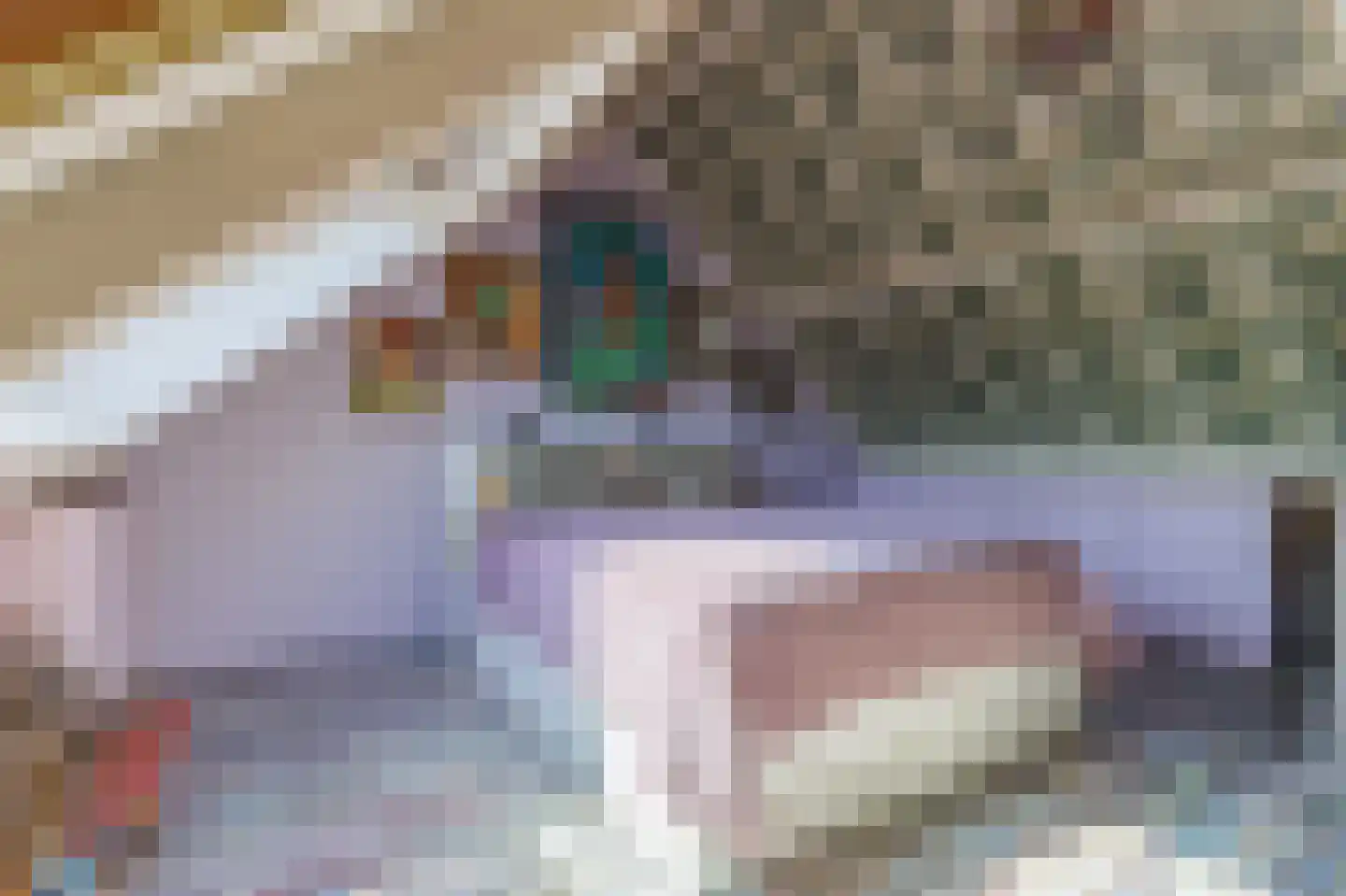 Tegenhouder 16 Sappemeer thumbnail 59