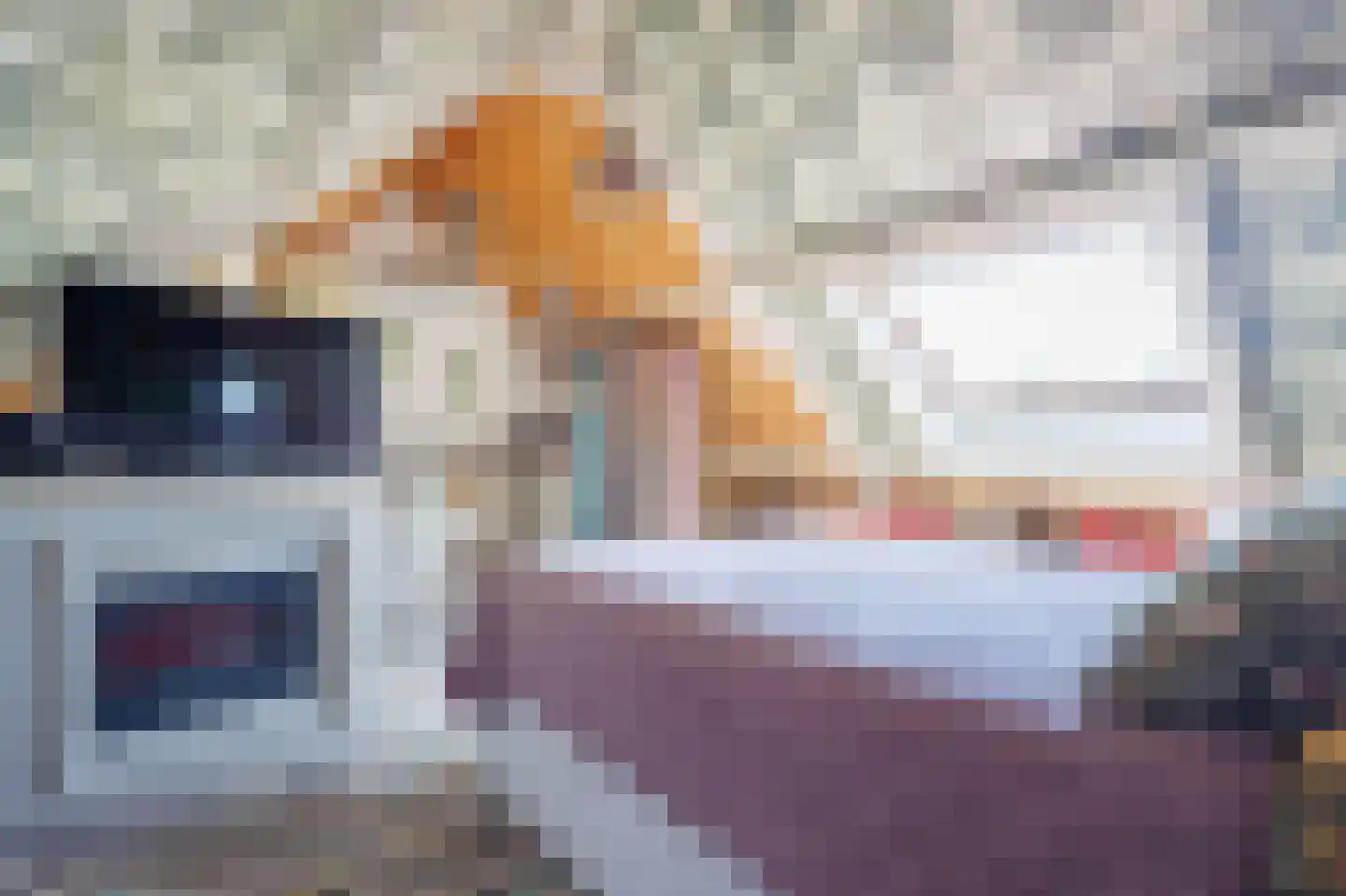 Tegenhouder 16 Sappemeer thumbnail 60