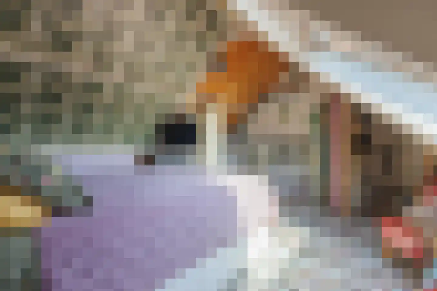 Tegenhouder 16 Sappemeer thumbnail 61