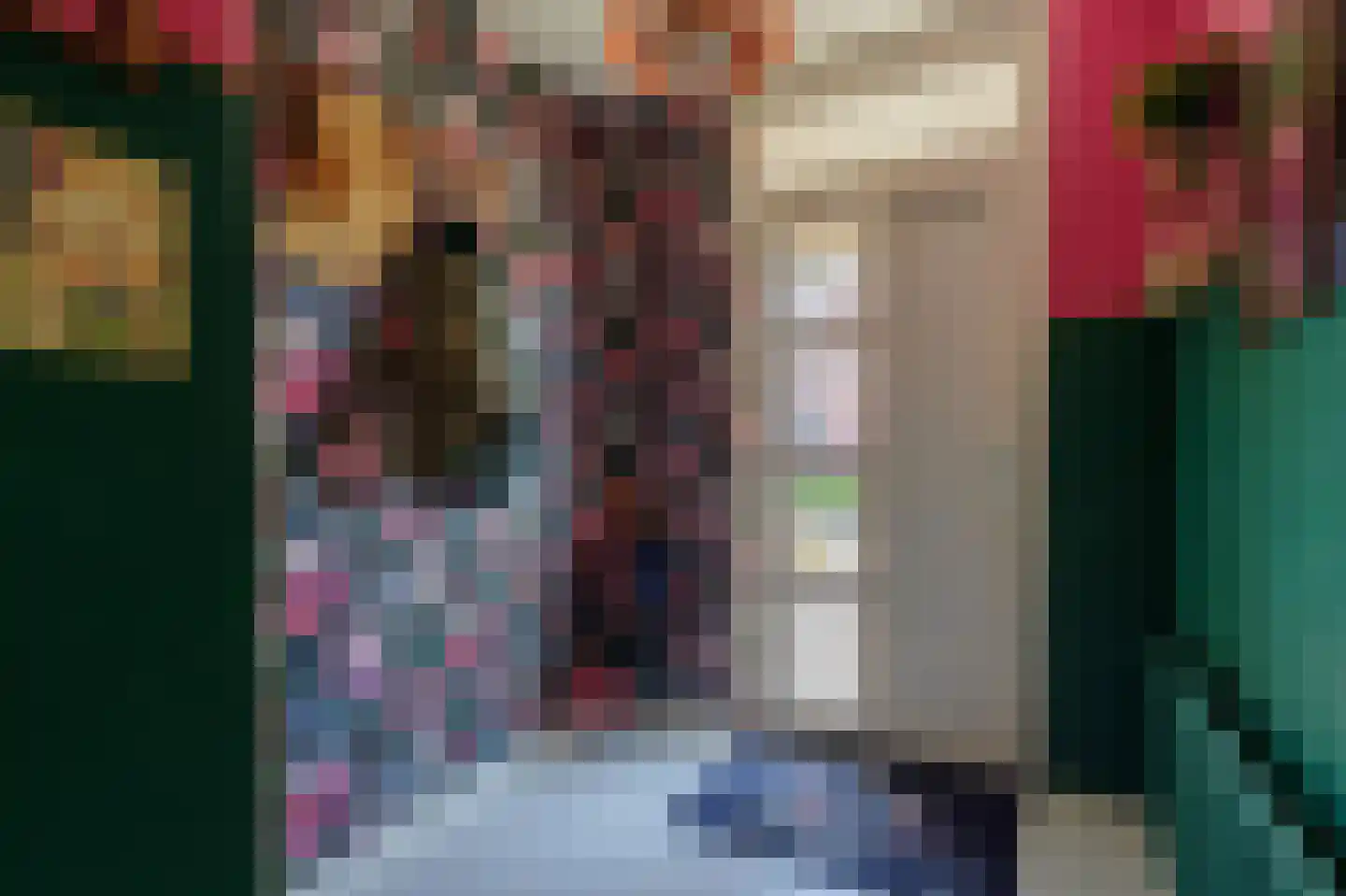 Tegenhouder 16 Sappemeer thumbnail 62