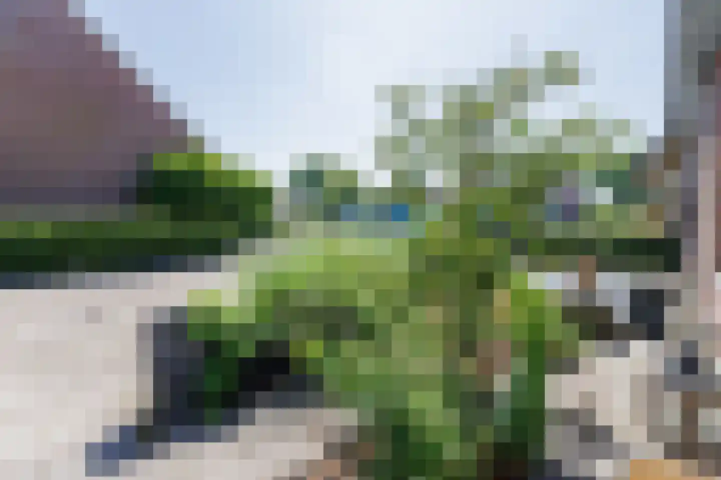 Tegenhouder 16 Sappemeer thumbnail 63