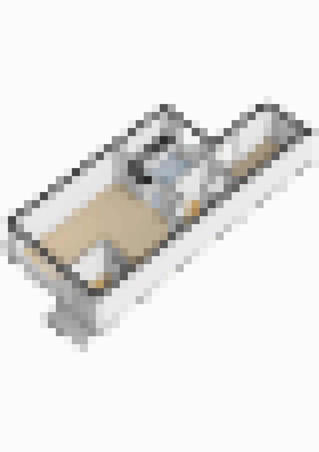 Tegenhouder 16 Sappemeer thumbnail 68