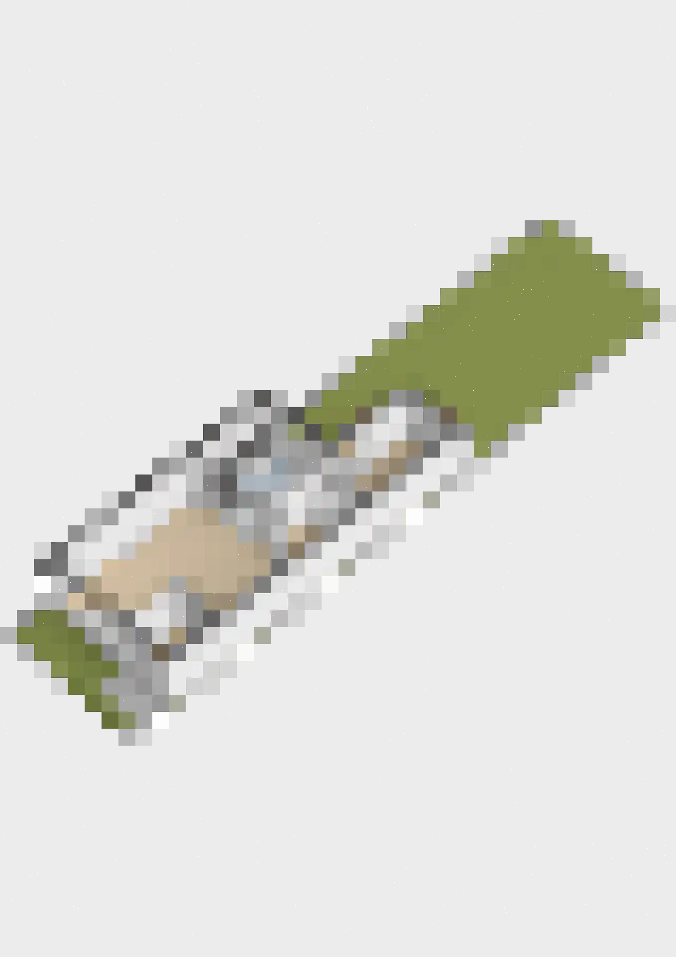 Tegenhouder 16 Sappemeer thumbnail 70
