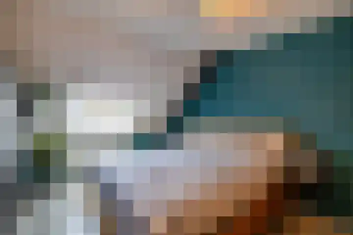 Tegenhouder 47 Sappemeer thumbnail 10