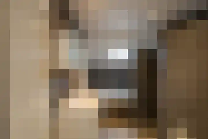 Tegenhouder 47 Sappemeer thumbnail 12