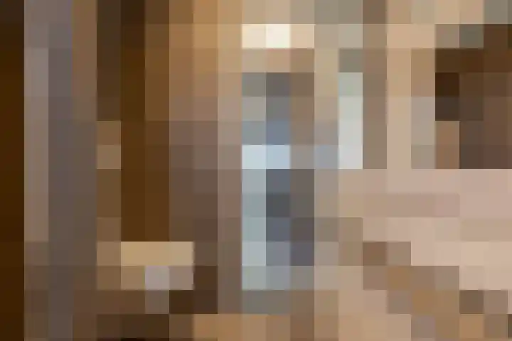 Tegenhouder 47 Sappemeer thumbnail 13