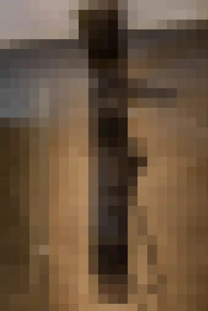 Tegenhouder 47 Sappemeer thumbnail 15