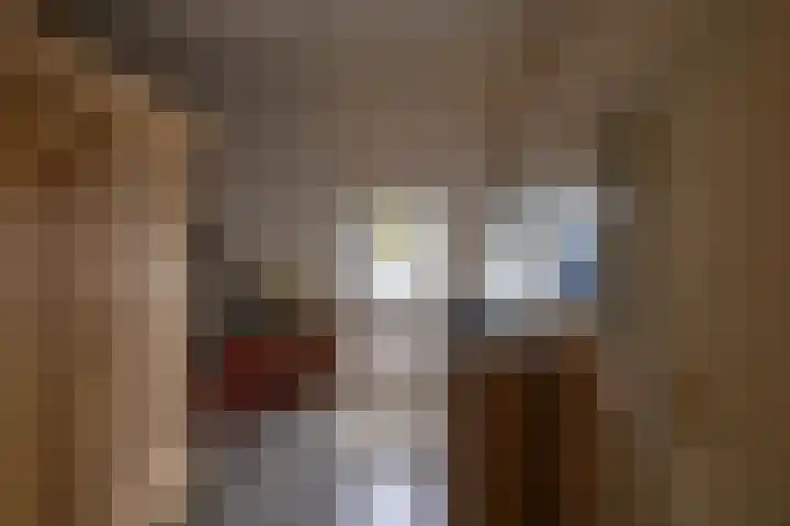 Tegenhouder 47 Sappemeer thumbnail 16