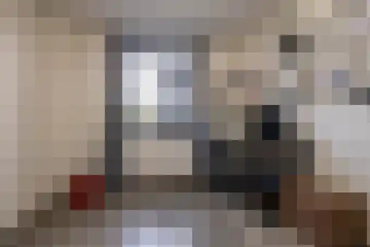 Tegenhouder 47 Sappemeer thumbnail 17