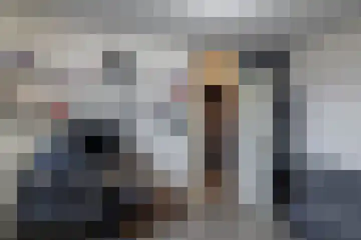 Tegenhouder 47 Sappemeer thumbnail 18
